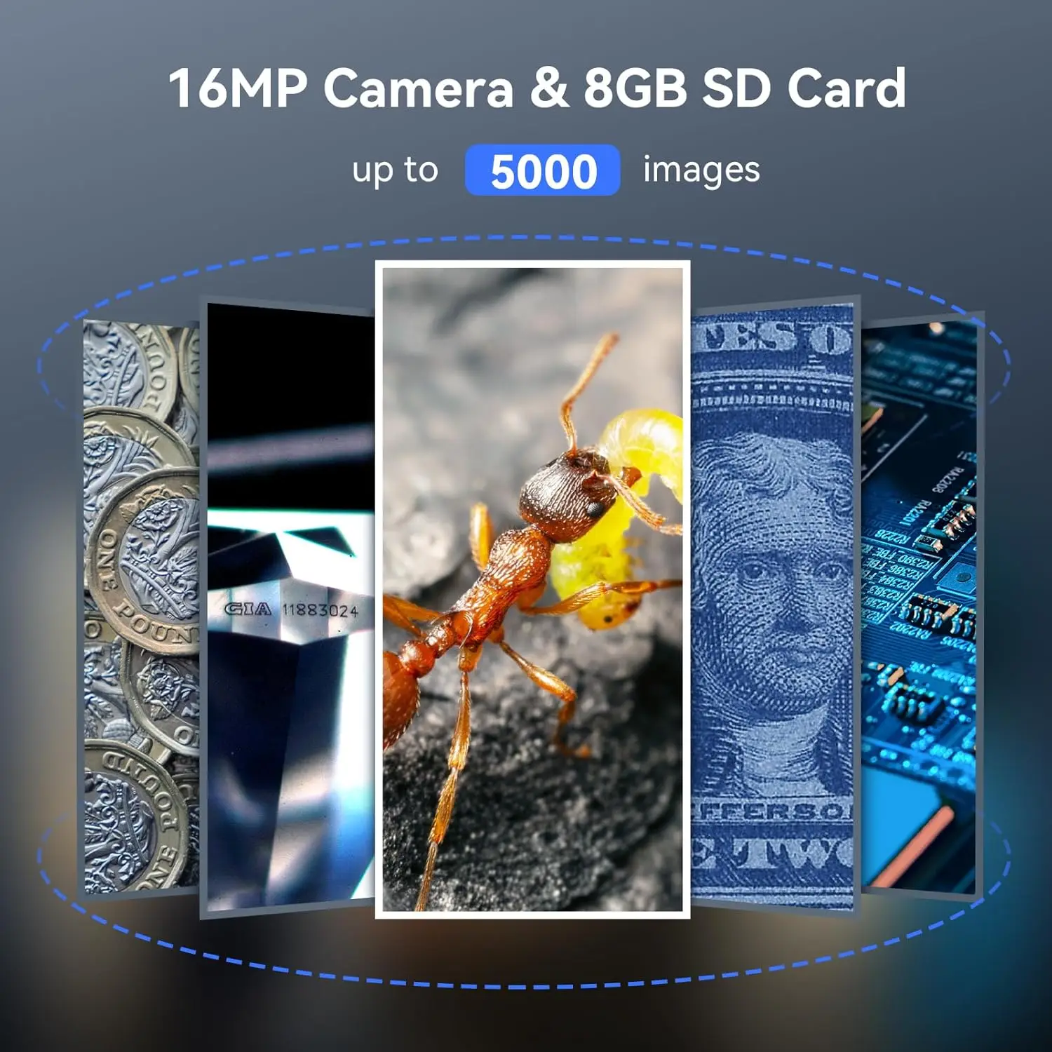 TOMLOV P10 キッズ顕微鏡 デジタルポータブル 10 - Digital Magnifier Reading のレビューと価格
